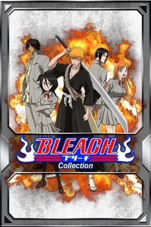 Bleach Saison 1 VOSTFR