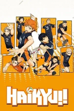 Haikyu!! Saison 1 VF