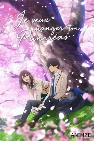 Je veux manger ton pancréas Film VF