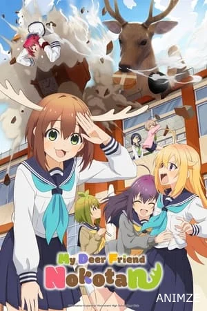My Deer Friend Nokotan Saison 1 VOSTFR