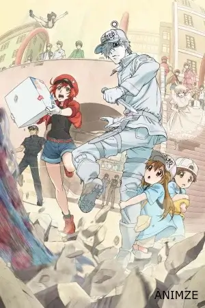Les Brigades Immunitaires Saison 1 VOSTFR