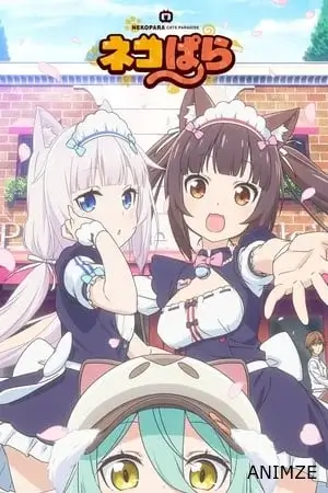 Nekopara Saison 1 VOSTFR