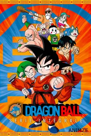Dragon Ball Saison 1 VF