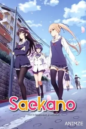 Saekano Saison 1 VOSTFR